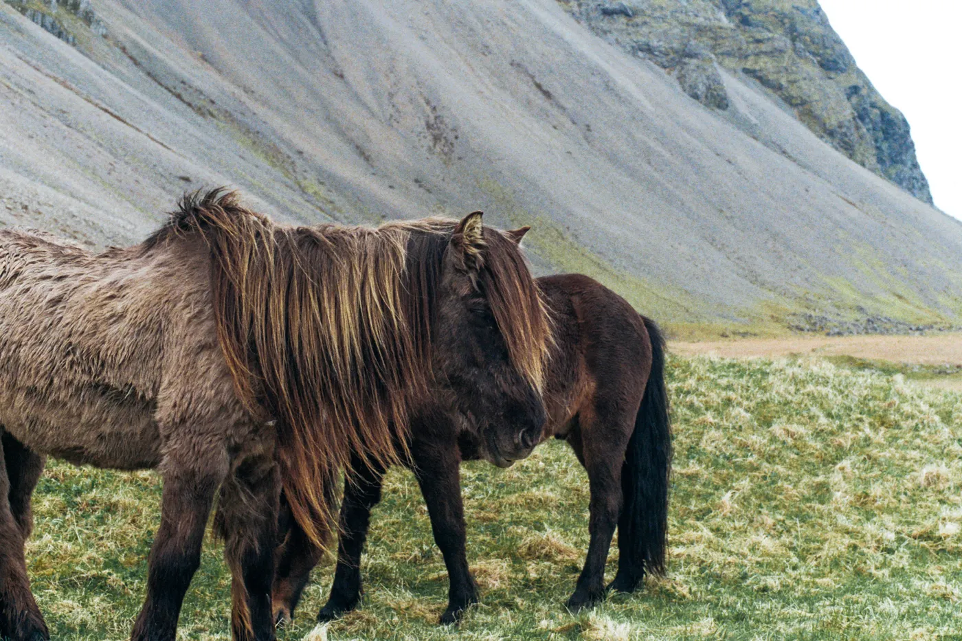 The Ring Road of Iceland — photo 7