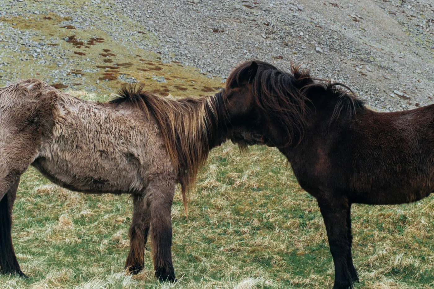 The Ring Road of Iceland — photo 8