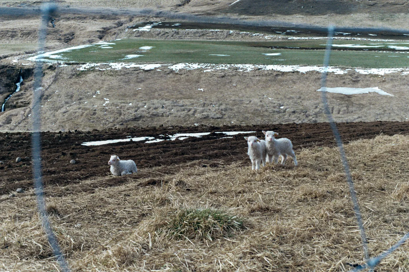 The Ring Road of Iceland — photo 13