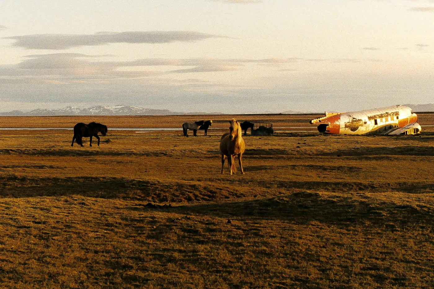 The Ring Road of Iceland — photo 16