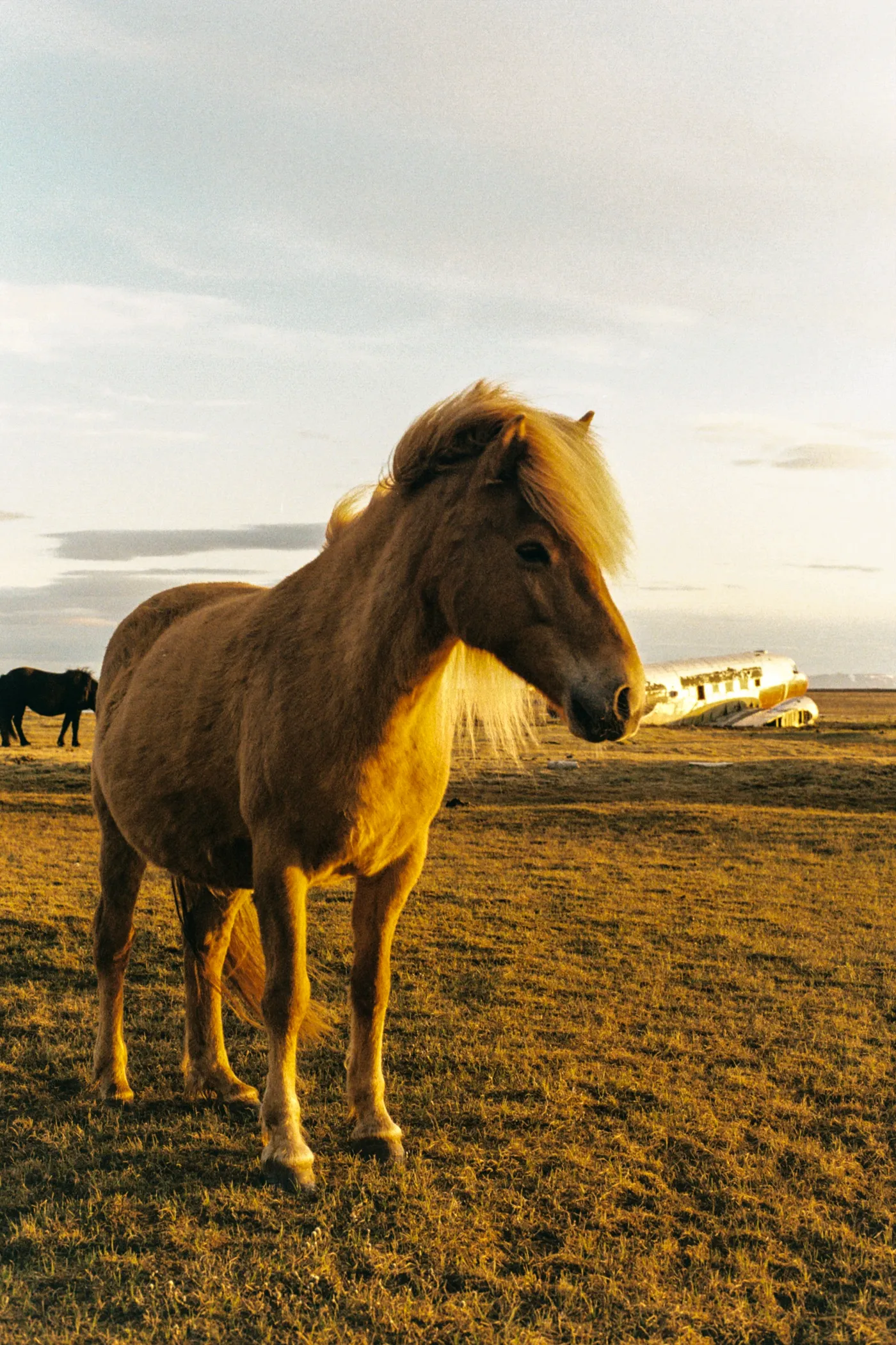 The Ring Road of Iceland — photo 17