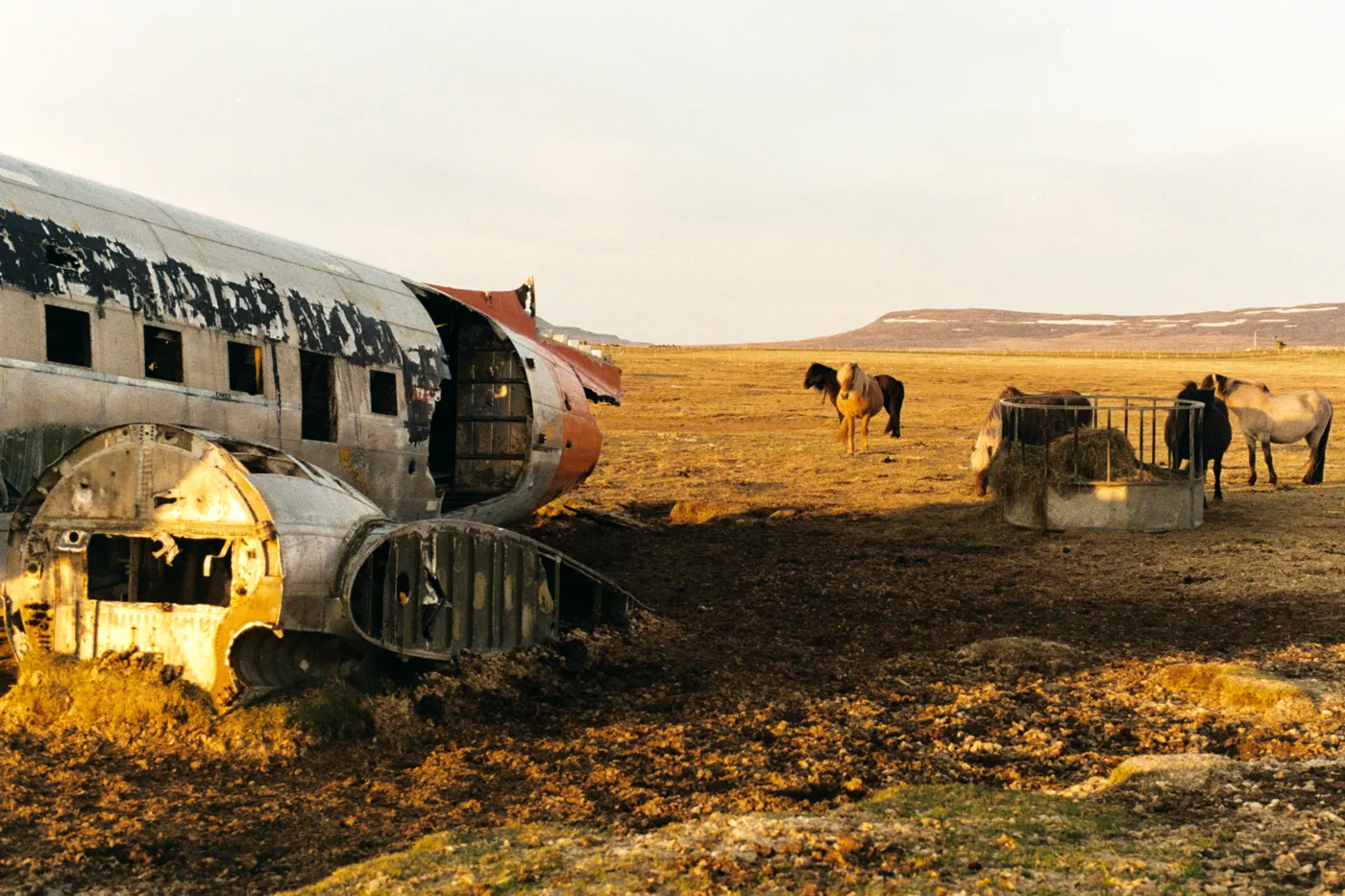 The Ring Road of Iceland — photo 19