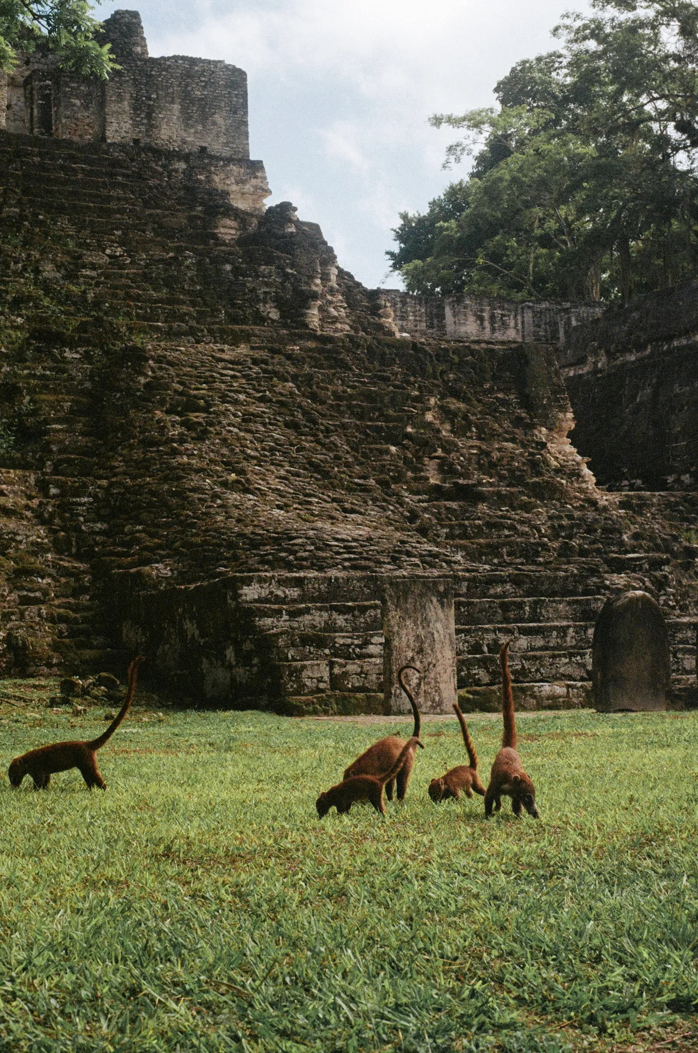 Mexico, Guatemala and El Salvador — photo 12