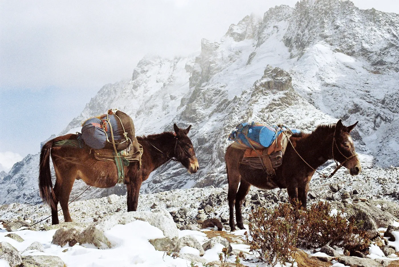 The Peruvian Andes — photo 9