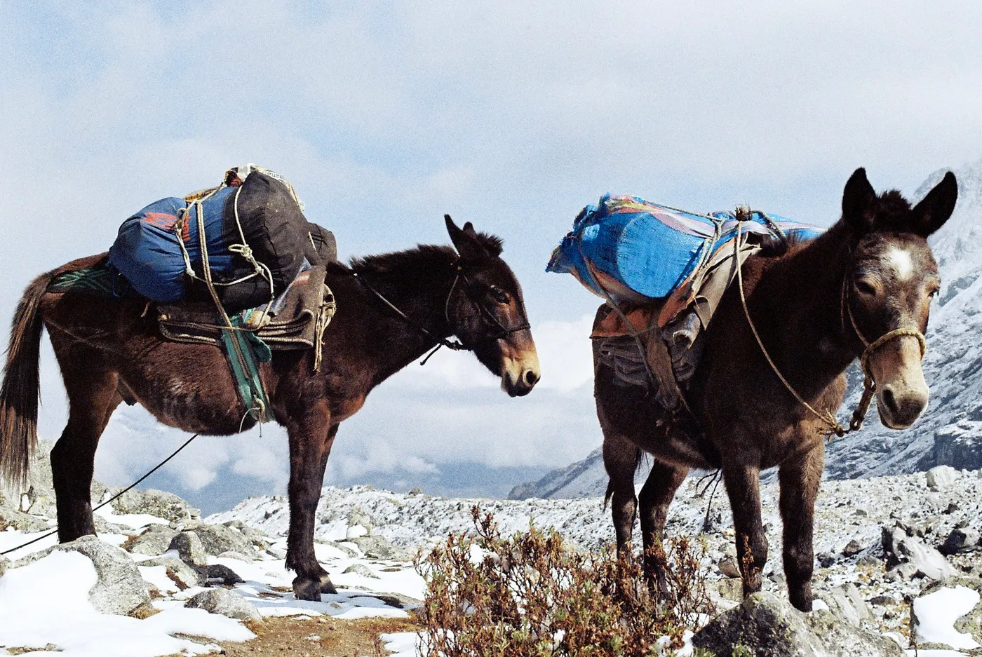 The Peruvian Andes — photo 10