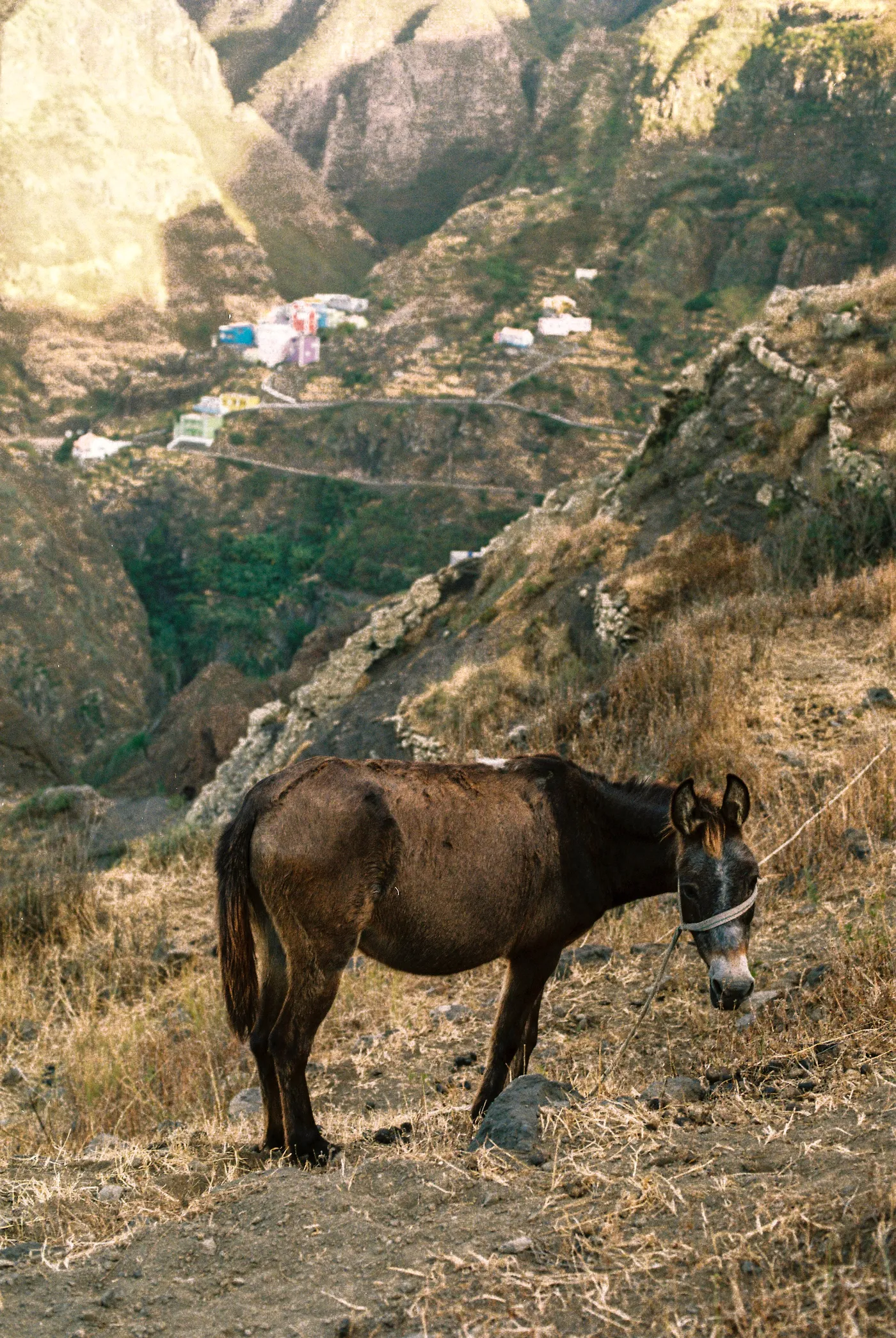 Santo Antão, Cape Verde — photo 8