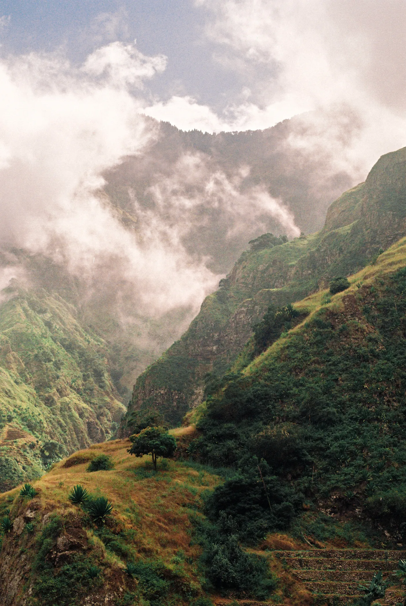 Santo Antão, Cape Verde — photo 16