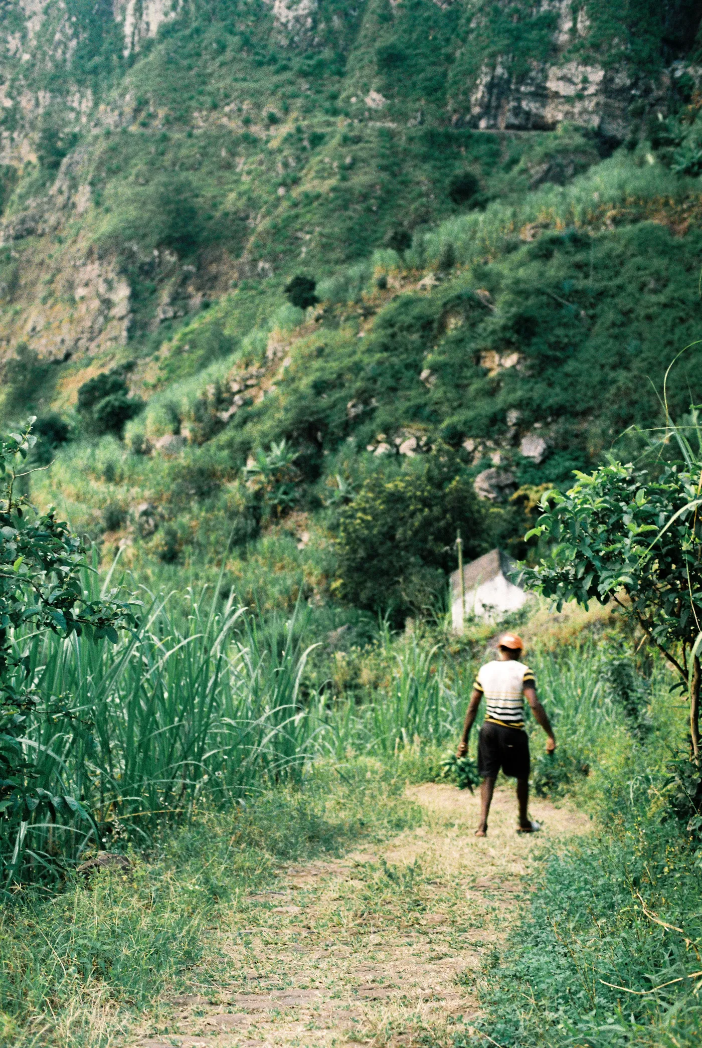 Santo Antão, Cape Verde — photo 23