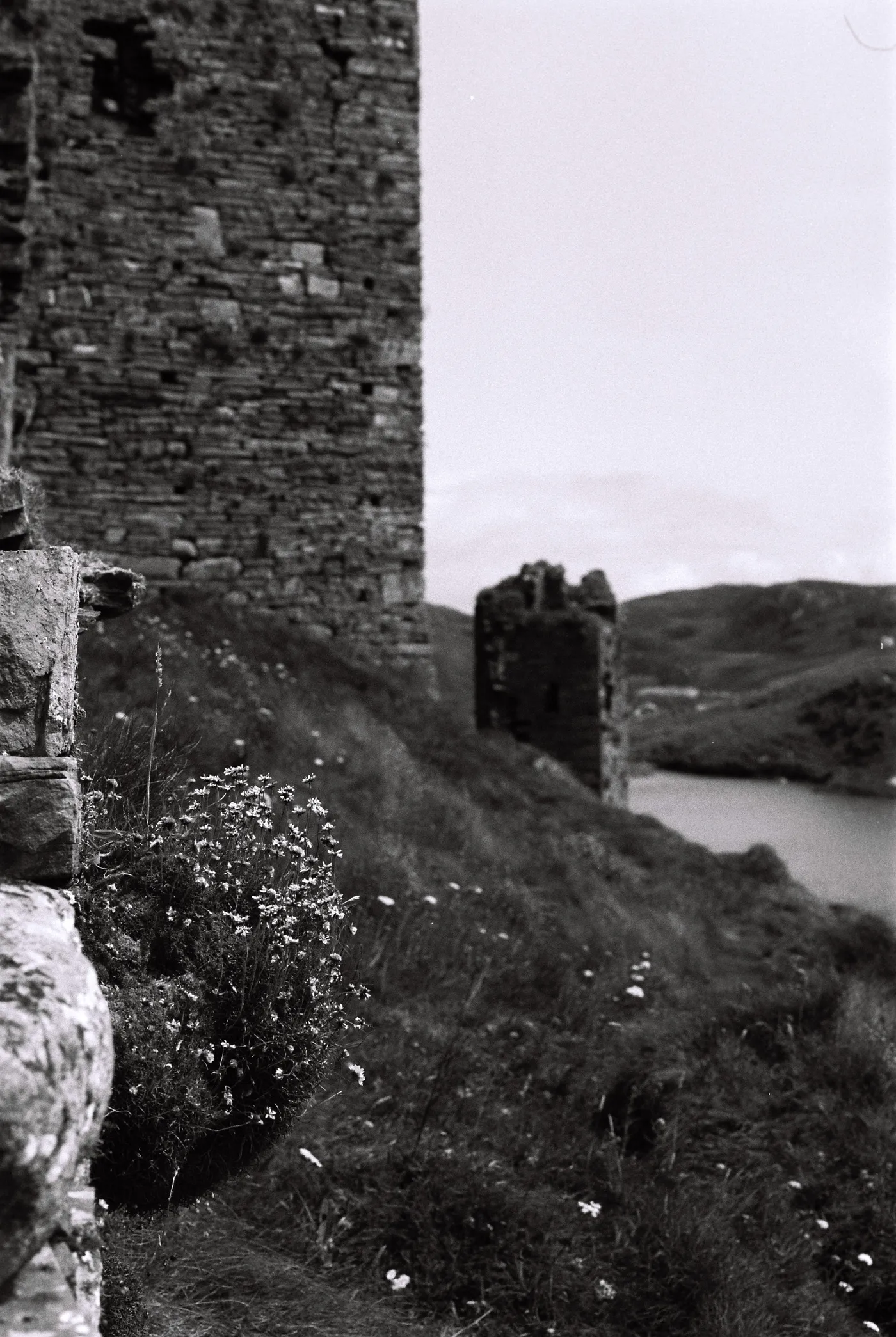 Three Castle Head, West Cork — photo 12