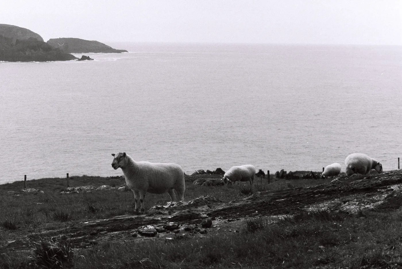 Three Castle Head, West Cork — photo 5