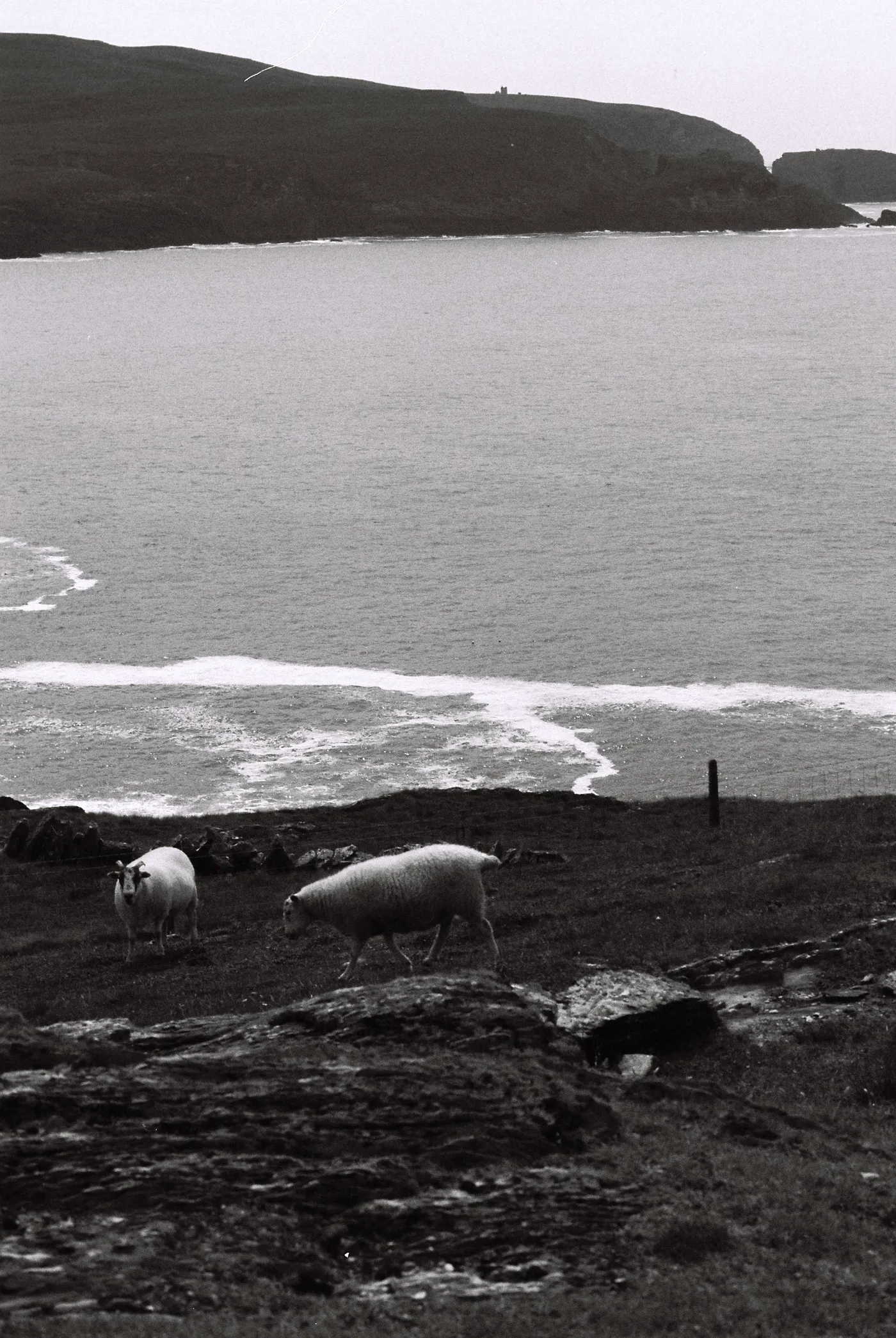 Three Castle Head, West Cork — photo 3