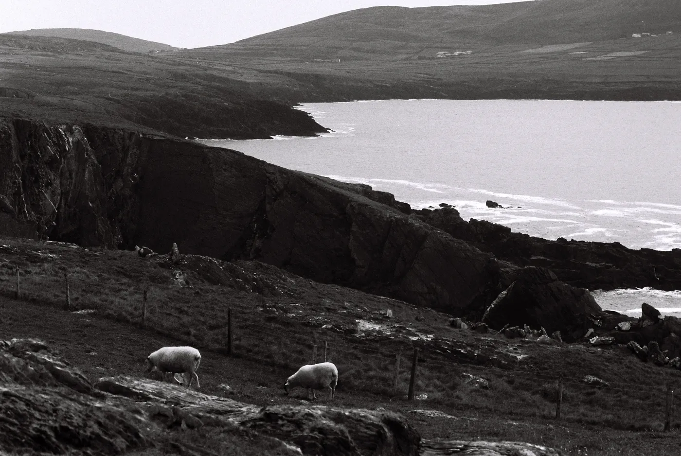 Three Castle Head, West Cork — photo 4