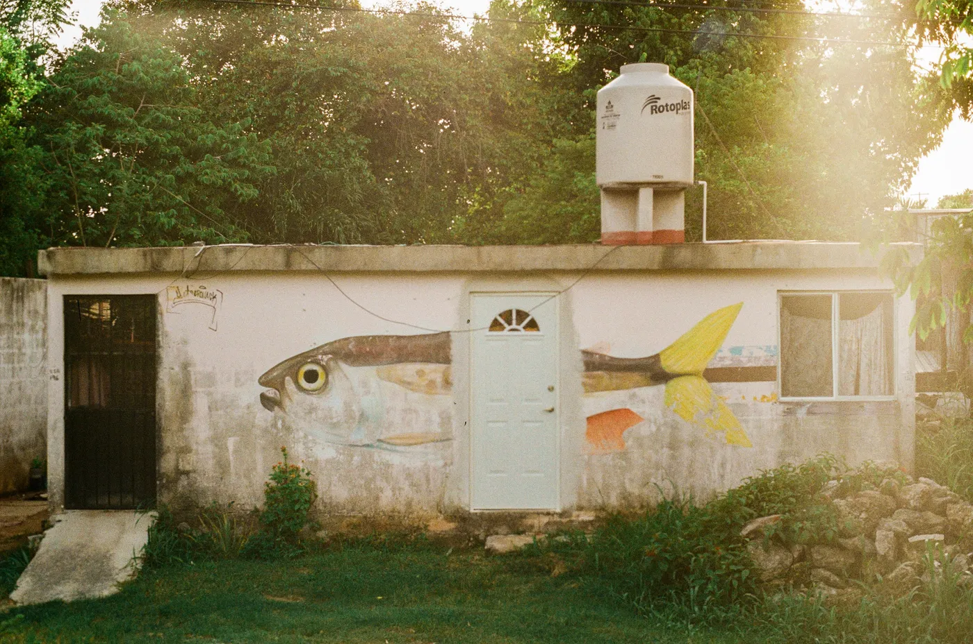 House painted with a fish mural in Bacalar, Mexico