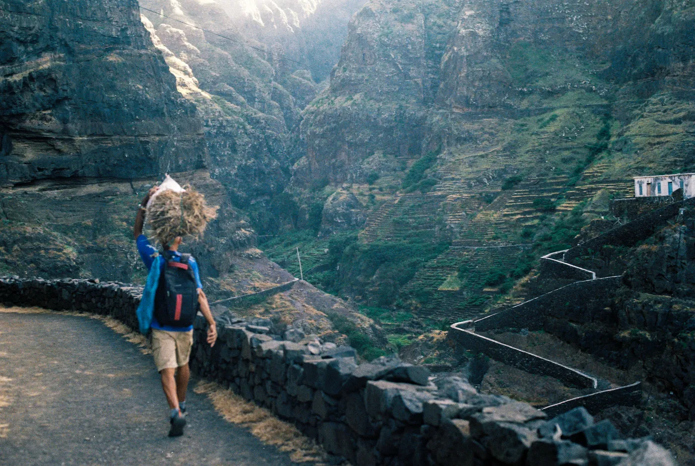 Walking a mountain road carrying a bundle of cane in Santo Antão, Cape Verde