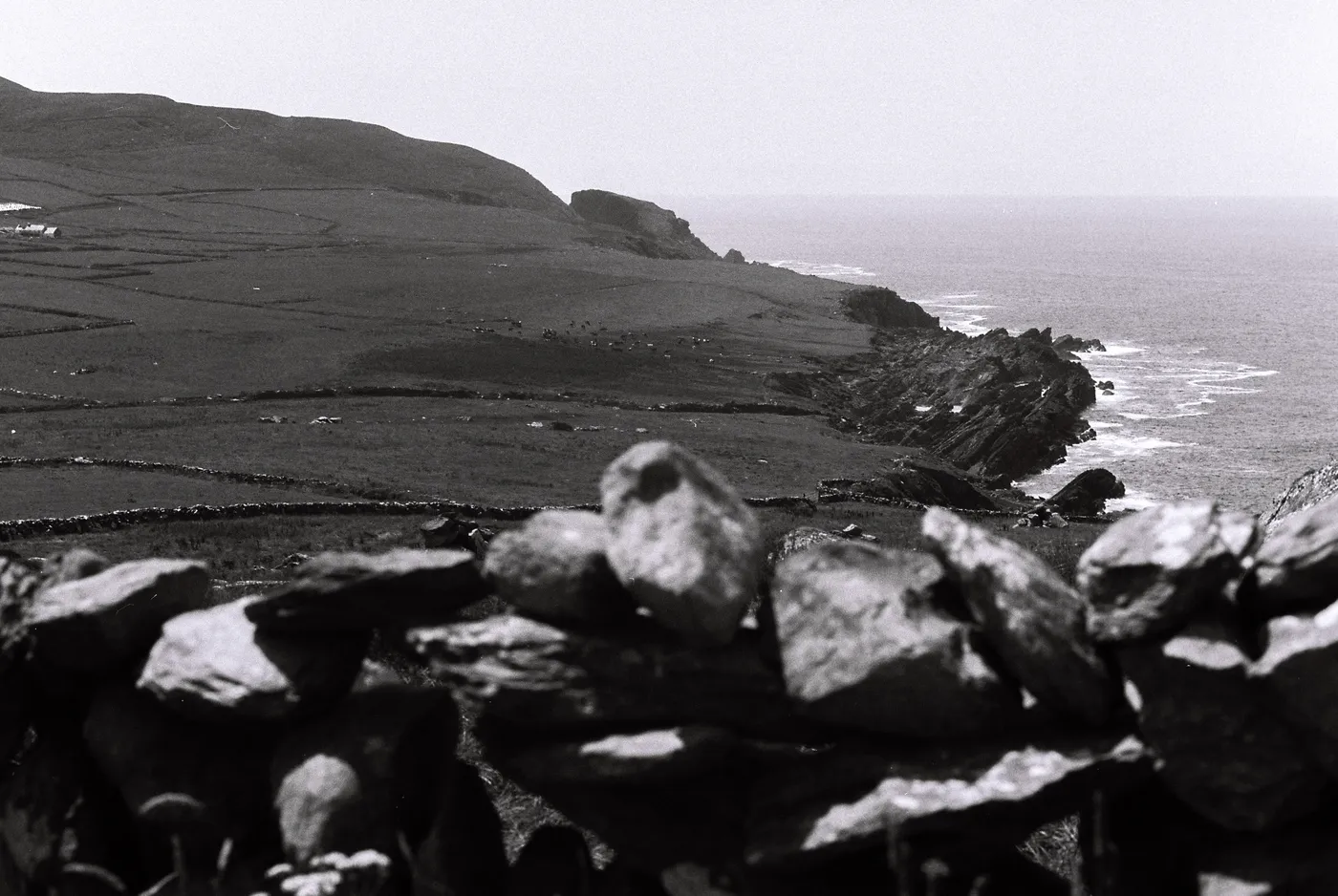Dry stone wall above the coastline at Three Castle Head